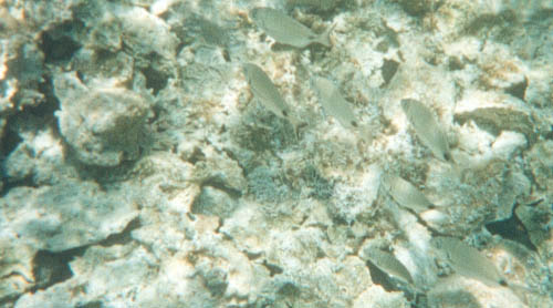 Bild nummer 53