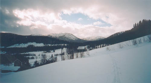 Bild nummer 29
