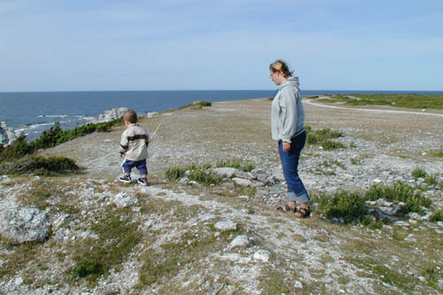 Bild nummer 19