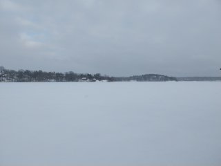 2026-01-25 11:38:17
