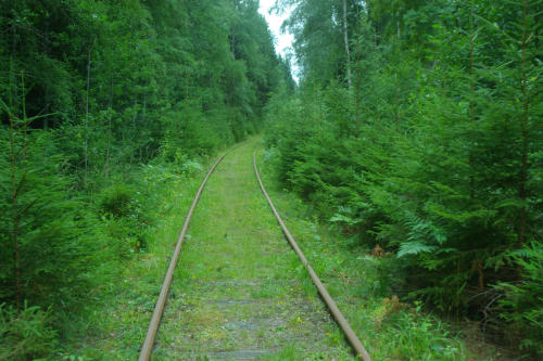 Bild nummer 8