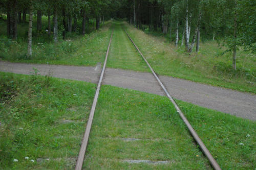 Bild nummer 41