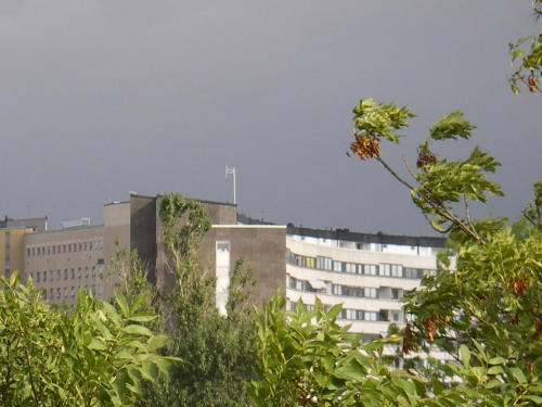 Bild nummer 40
